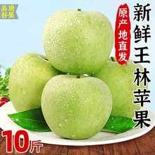 �Fժ�����O�����rˮ����������5�����ȸ�����O����ɭ���O�����]