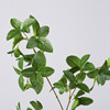 Mint Scandinavian realistic photography props, decorations