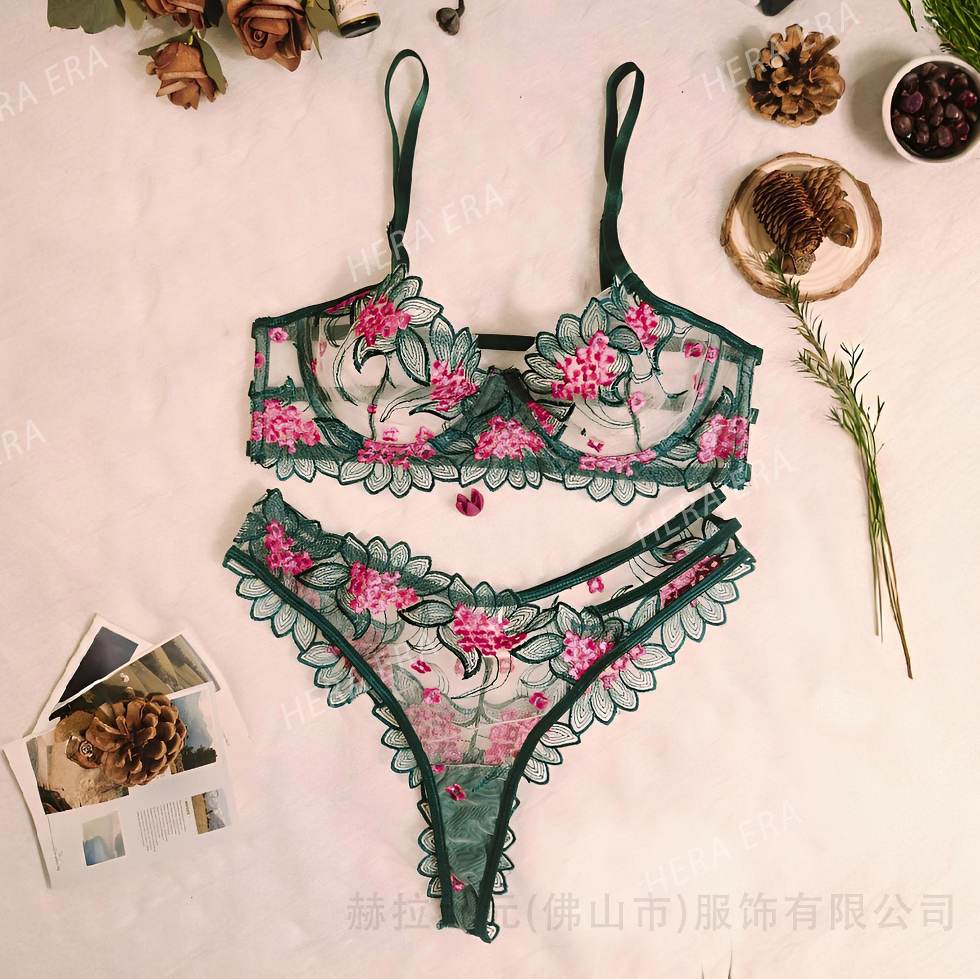 2025 Bordado de comercio exterior transfronterizo Estilo maduro Hilo de red transparente Conjunto de lencería sexy Traje de nuevo estilo transfronterizo para damas