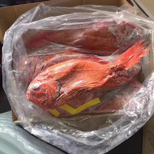 �����m�L���~��������~���r������~��rʳ�Ļ���������