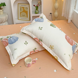 ȫ������һ���b����ӡ�����^����о��48x74cm��ֻ��һ�����ס�