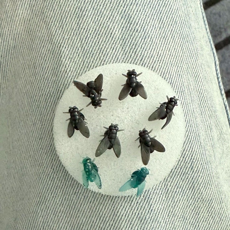 Unique Mini Realistic Black Fly Earrings Quirky Abstract Minimalist Niche Creative Earrings Tiktok Style Unique Mini Realistic Black Fly Earrings Quirky Abstract Minimalist Niche Creative Earrings Tiktok Style