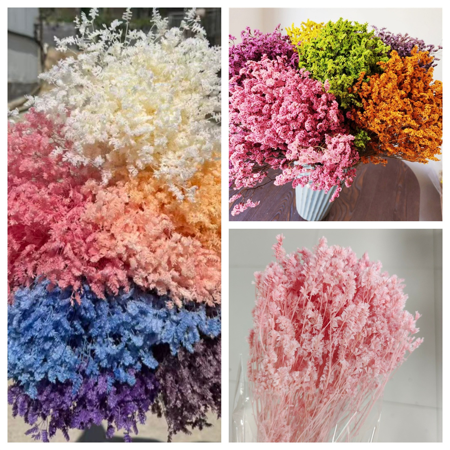 Éternelle Fleur Cristal Herbe salon décoration mobilier de maison Yunnan fleur séchée éternelle fleur base en gros