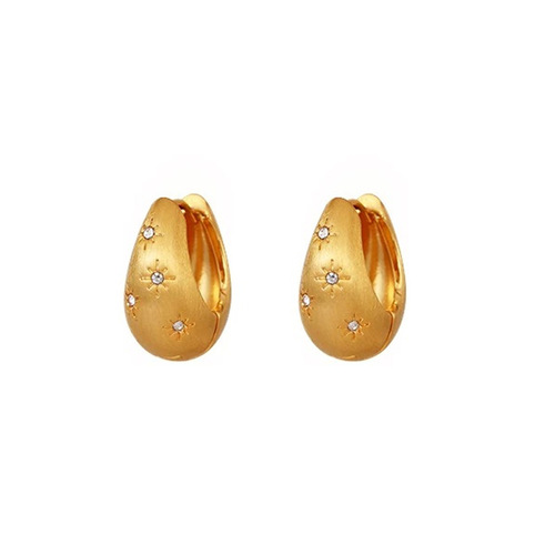 Good Reunion Bai Baihe Xiangqian's same style brushed earrings INS style earrings high-end light luxury star earrings exquisite