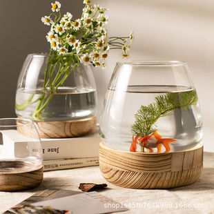 Japanese-style Vase Transparent Glass Living Room Flower Ornaments Aquatic Plant Green Rose Hydroponic Utensils Entrance Desktop Fish Tank