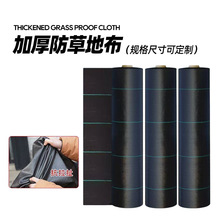 防草布 黑色整卷农用果园加厚除草布草地膜园艺果树地布透水批发