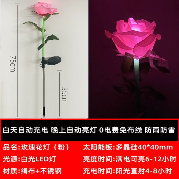 Solar-single-pink rose (OPP bag)