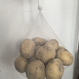 其他塑料网;球类;海洋球