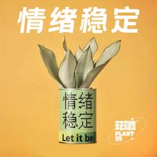 非正式植物镇店情绪稳定全新花盆虎皮兰办公桌面耐旱神奇绿植礼泉