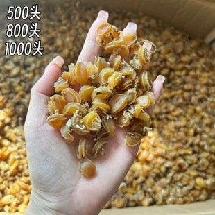 1000�^���B�U�~�ɮa�؏S��ֱ��С���U�~�Ƶ������С�U�~��500g