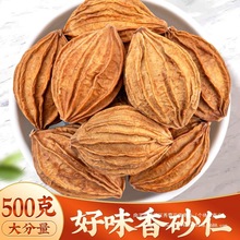 香砂仁500g新货四川金砂仁川沙仁火锅烧烤炖肉卤菜调味料香料大全