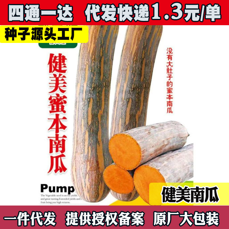 健美秘本南瓜春季新品早熟长南瓜种子甜粉黄瓜西瓜丝瓜南瓜菜苗南