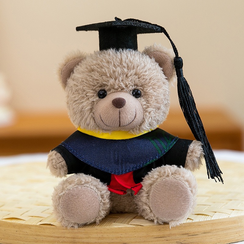 Dr. Bear Colgante muñeca puede imprimir LOGO sombrero doctor regalos de graduación uniformes de muñeca oso bolsos llaveros