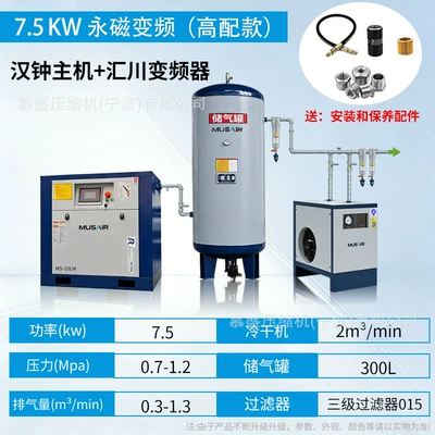 air pump air compressor, Hava kompressorları - 75kw-high-end-model-includes-a-permanent-magnet-inverter-air-storage-tank-cold-dryer