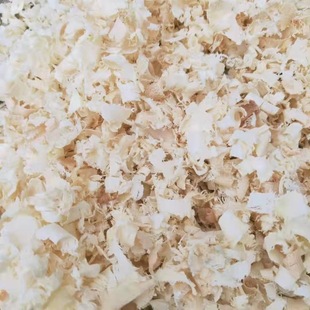 ������ľ��ľ�ٻ� �R���|�����ٻ� ����C�|���ٻ� ľм�|��