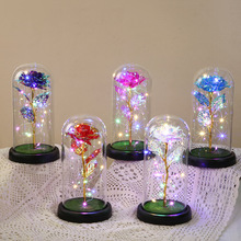 ���������������˹��Y�� ͸�����ӽ�õ�廨�Ҿ��b�ƷСҹ��