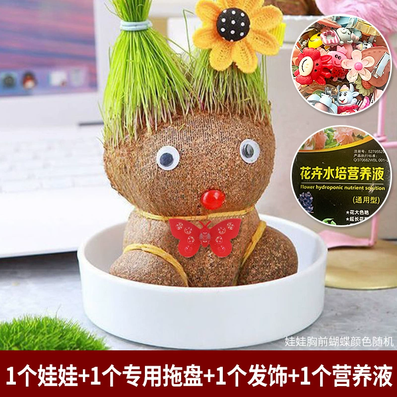 [批发草头娃娃浇水头上长草人绿植长头发儿童好养种草幼儿园桌面小]