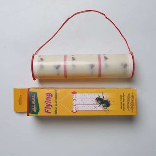 ���Q���lճω�폊���nω��ճω���ʳƷ�S�ɑҒ�ճω݁