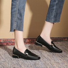 C-3 ͹Ś|ӢLЬŮЬ2022¿ָƽטЬrаٴ