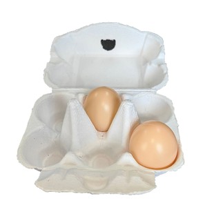 Paper Pulp Molding Manufacturer Direct Sales Egg Container Duck Egg Quail Egg 6 White Egg Box Biodegradable Carton Discount