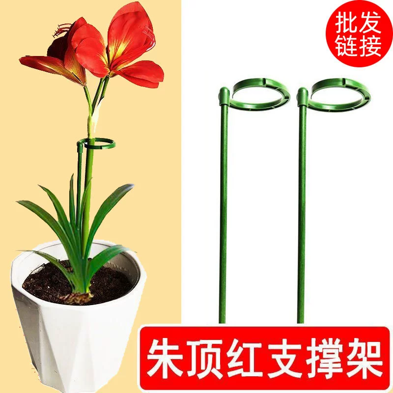 Цветочная полка для растений садовая крепежная стойка на открытом воздухе опорный стержень в форме цветка фаленопсис для лазания из ротанга антискользящий кронштейн для цветов