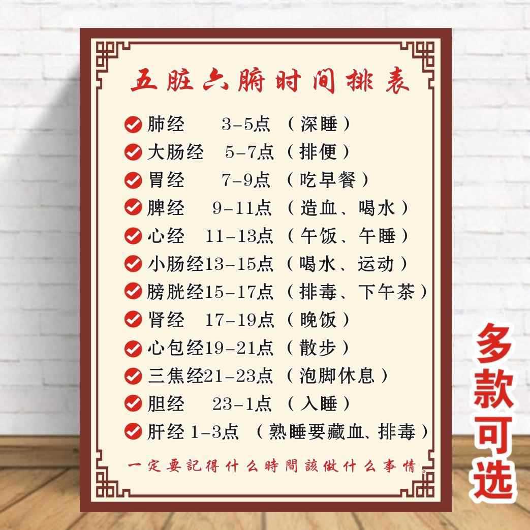 中医养生馆美容院挂图五脏六腑时间表时辰人体经络全身挂图宣传画