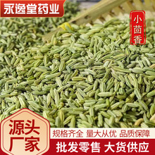 中药材小茴香 小茴香 香料小茴香散装 量大从优 产地优选