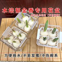 ˮ�������㌣�û���͸��������ƿ�����϶�ֲ�@ˮ�B������N�򻨻@