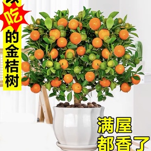 �ļ���ۘ������Ԏ���ֲ���҃Ⱥ��B���ܿ͏d����С���Ә��辰