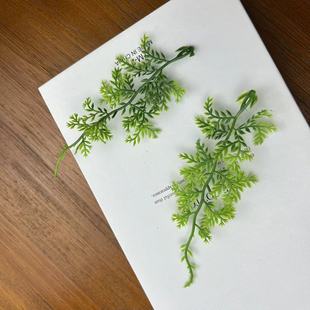 ����ֲ������z������ˮ����������é��ާ�����m���쾰�S�����l