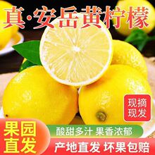 ĴSʴƤ֭rˮ㙎ʹ@ֱl