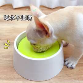 宠物漂浮饮水碗防溅防打翻狗水盆不湿嘴水碗宠物喵咪大容量饮水器