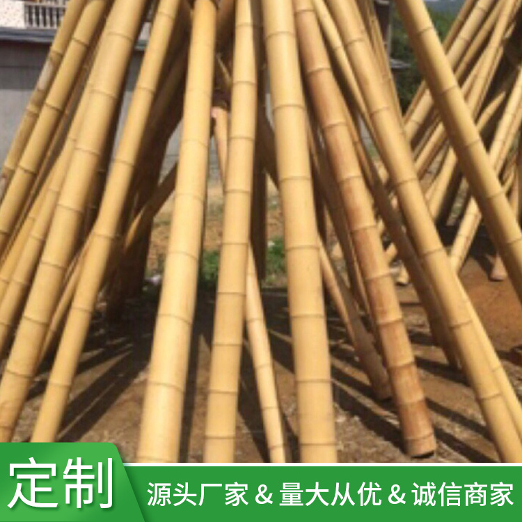 源头厂家批发各种规格装修装饰水煮防虫黄竹白竹干竹子|ms