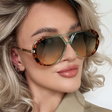 �p�������̫��Rins�W�t�W���͹ŕr��ī�R�������⾀̫����R