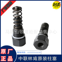 三一仕高玛林K柱塞搅拌机 电动润滑泵泵芯SKF福鸟中联黄油泵柱塞