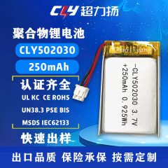 UL502030 ポリマーリチウム電池 250mah3.7V 血圧計オーラルメーター充電式リチウム電池工場