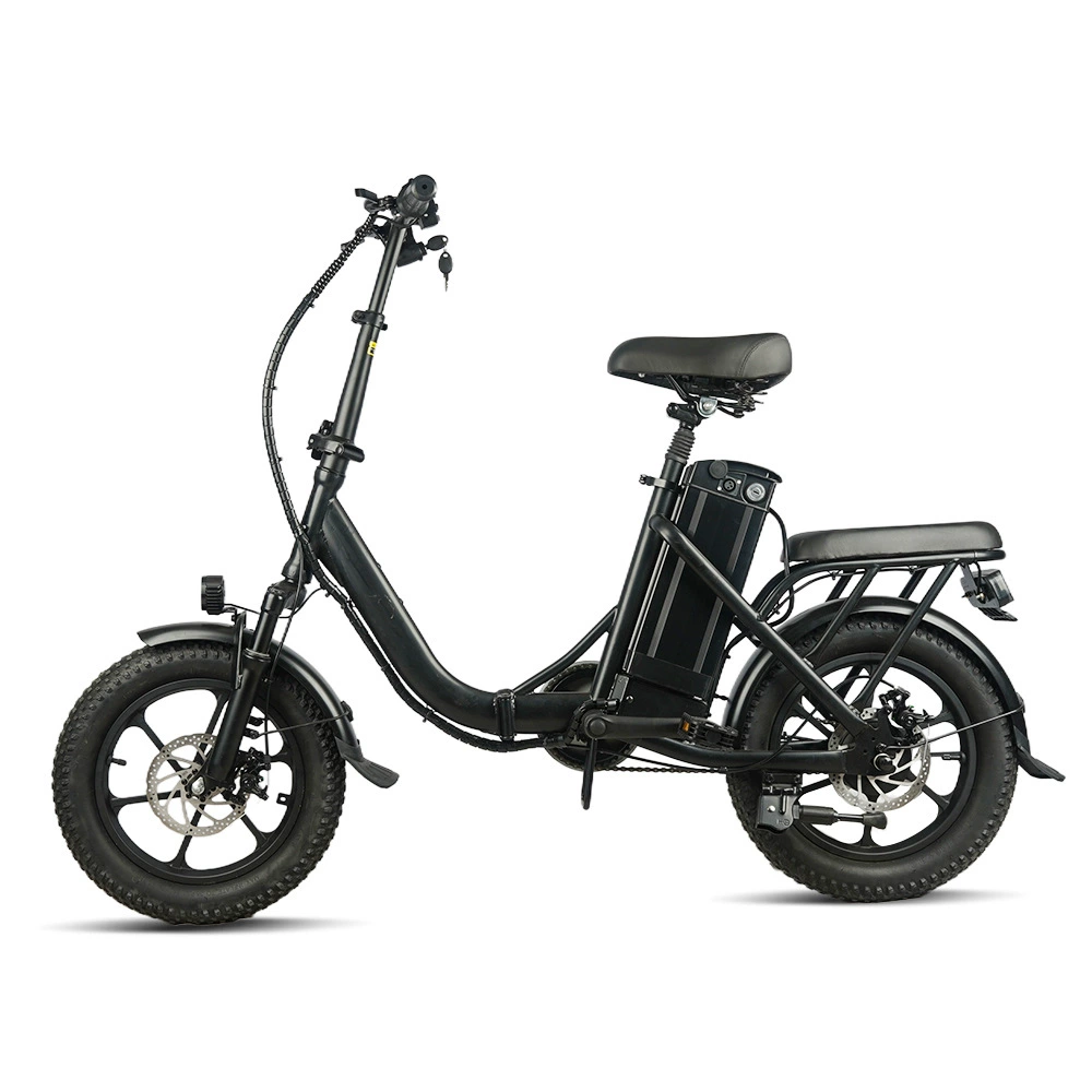 Складной электрический велосипед 16inch для снега и пляжа с литиевой батареей для транспортировки, двухместный электроскутер, эксклюзивная поставка для международного рынка