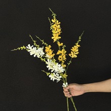 ��֦�����ӭ�����Ҿ��b�����������Ĕz���߷��滨���m���ٻ�