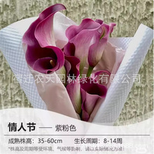 �ǹ���ɫ�R��ɏ���Զ����������ļ����B�̨�҃�ͥԺ�W�t�������