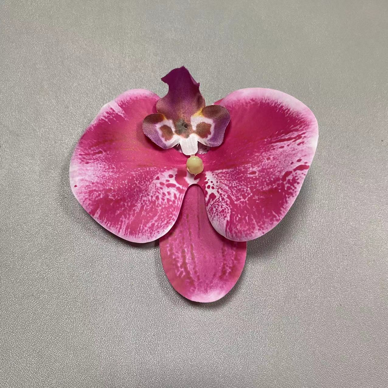 20호
