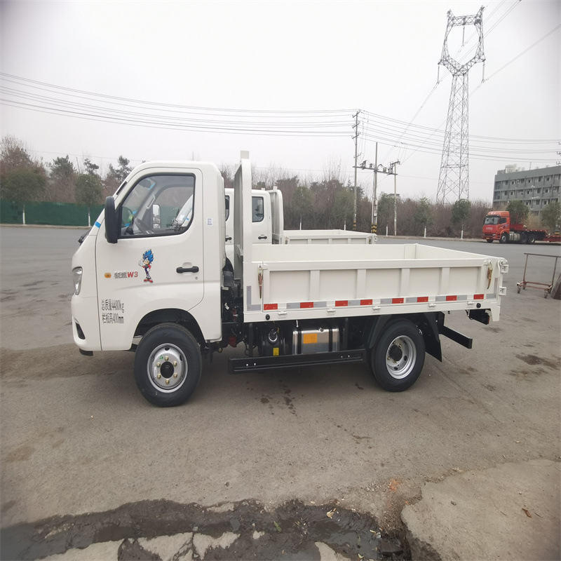 Export Right-Hand Drive Truck Foton Foton Dump Truck 3-5 Ton Muck Truck Dump Truck Sideboard Truck Factory