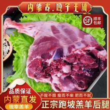 ���ɹ�����ɢ�B���������ֻ���������������r���⿾�����5��