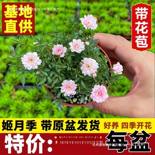 ���l����Ů��õ���辰���Ի����ձ��ļ��_���¼�����΢���Nޱ