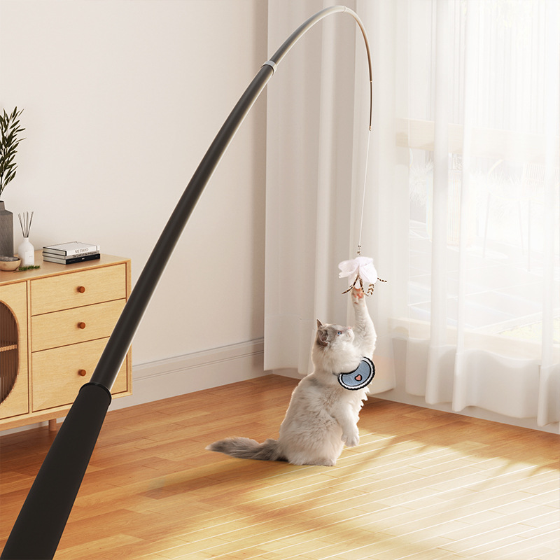 Cat Teaser Wand with Long, Extendable Rod, Cat Toy with Feathers, Extra-Long Self-Entertainment Fishing Rod for Kittens, Steel Wire, Bite-Resistant Supplies