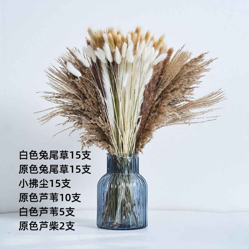 アマゾンはよく売れています。葦の花の花束です。|undefined