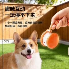 �����������l��������Ͷ���ԄӰl��C�޹���ҧ����؈߅����Ʒ