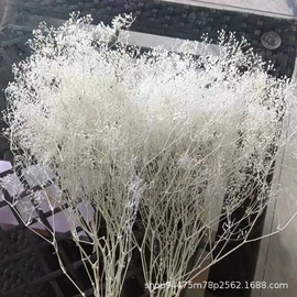 干花;永生花;仿真花