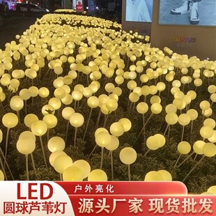 led�A���JȔ�������ˮ�l�����ƺ�����^�����b����^�JȔ��