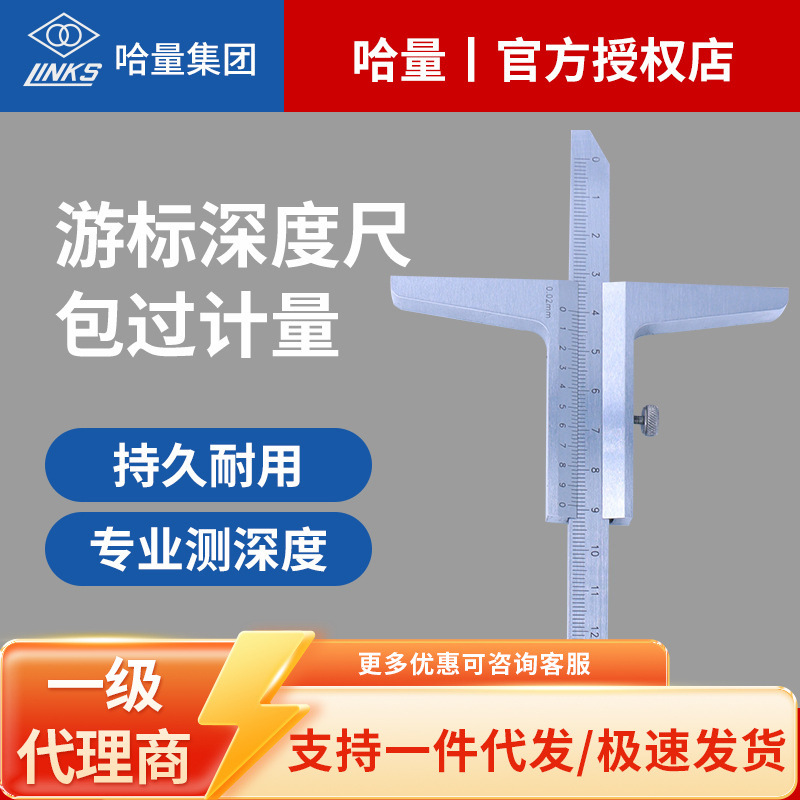 哈量高精度深度游标卡尺工业级高品质正品数显深度卡尺带表0-300