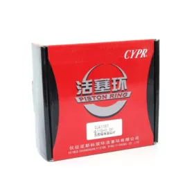 油泵、油嘴;活塞/活塞环;柴油滤清器